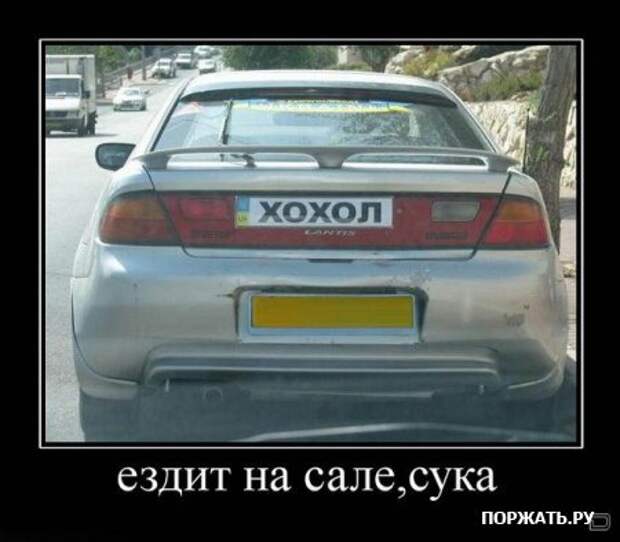 Демы как они есть
