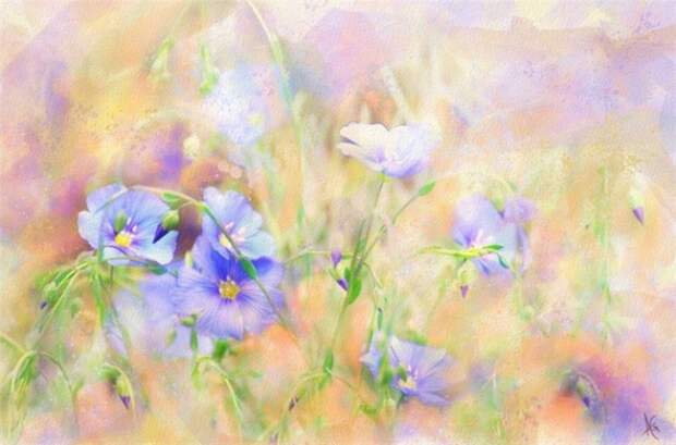 Alberto_Guillen_Flower_Paintings_12 (670x443, 250Kb)