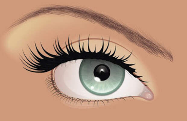 Какие глаза у мастера. Татуаж глаз. Очень красивые брови. Коррекция бровей. Коррекция и окрашивание бровей.