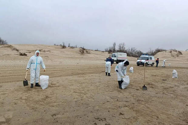 Глава Кубани Кондратьев: восемь пляжей Анапы решили вывести из опасной зоны