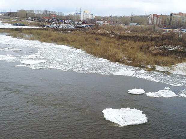 Река томь томск веб. Уровень воды в Томи 2014. Уровень воды в Томи в Томске на сегодня. Уровень воды в Томи в Новокузнецке. Река Томь в Томске фото сейчас 2023.