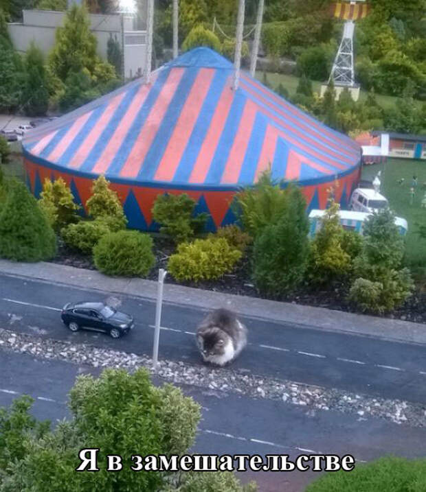 Прикольные картинки (91 фото)