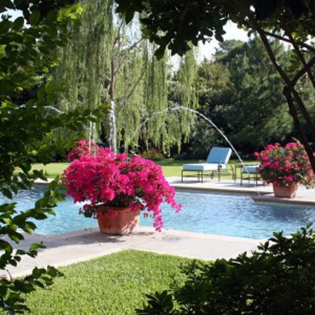 creative-use-large-pots-and-containers-in-garden21-1