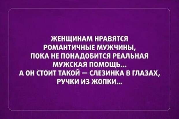 Смотрим прикольные картинки Смотрим прикольные картинки