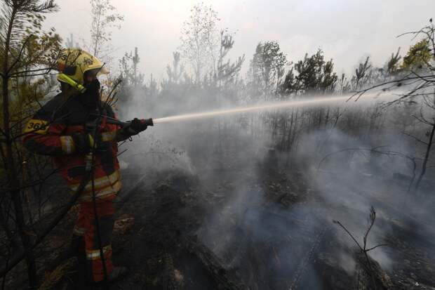 В Свердловской области зафиксировали крупный лесной пожар