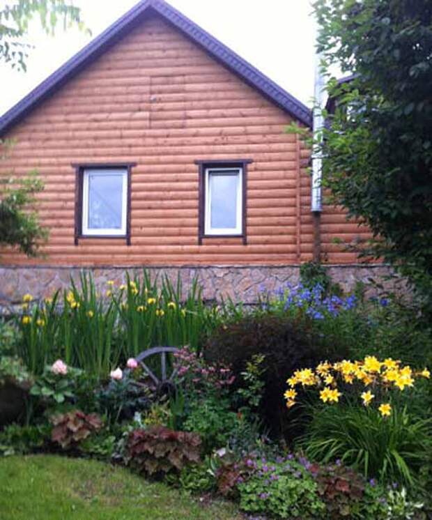 Сады, цветы Урала Красивый палисадник