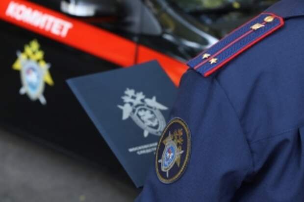 Председатель СК России поручил представить доклад по информации о причинении телесных повреждений школьнице в Приморском крае