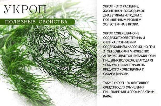 ПОЛЕЗНЫЕ СВОЙСТВА. Лайфхак, ПОЛЕЗНЫЕ СВОЙСТВА, факты