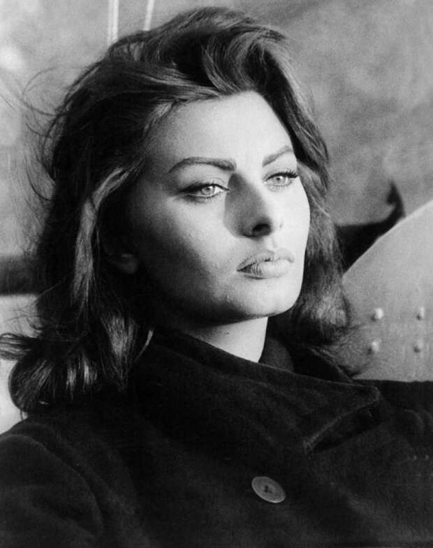 Самая красивая итальянка София Лорен. Фото / Sophia Loren. Photo