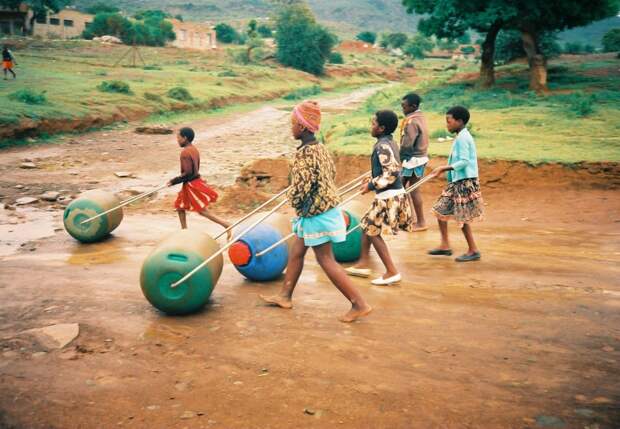 Hippo Water Roller