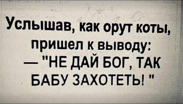 18 смeшных и жизненных историй для отличного настроения