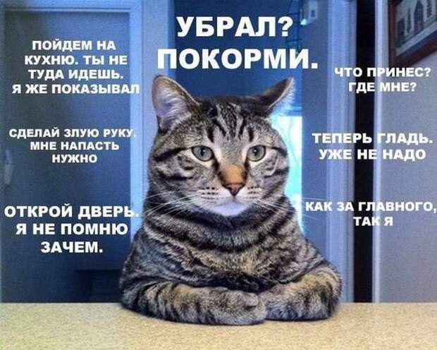 Подборка прикольных фото №1152 (93 фото) Подборка прикольных фото №1152 (93 фото)