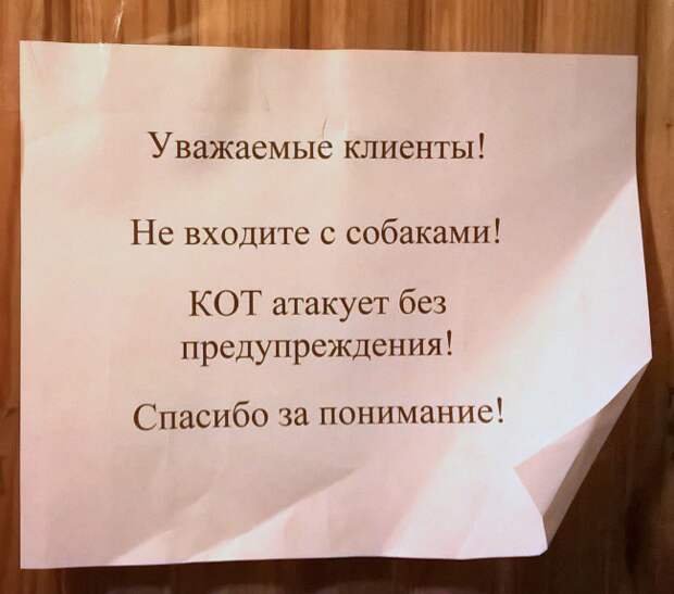 20 объявлений, которыми мы гордимся объявления, смешно