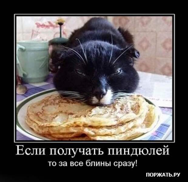 Демотиваторы только прикольные каждый день много свежего юмора.