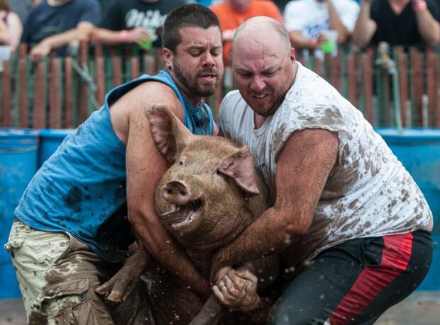 Захарова обвинила иноагентов в «подхрюкивании»