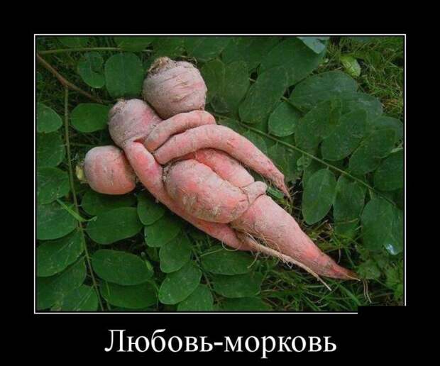 Демотиваторы  демотиваторы, прикол, смех, юмор