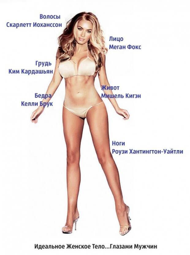 идеальное тело мужчины и женщины 