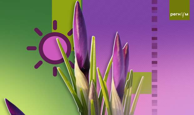 Гидрометцентр заявил, что Солнце вернется в Москву к субботе