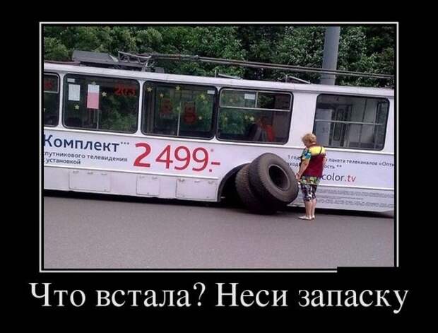 Пятничная подборка демотиваторов демотиватор, юмор