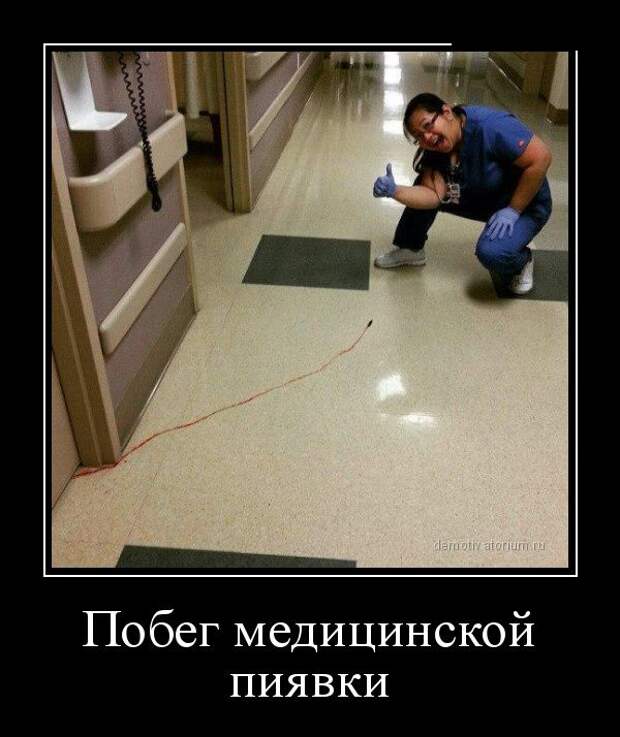 Демотиваторы (30 фото)