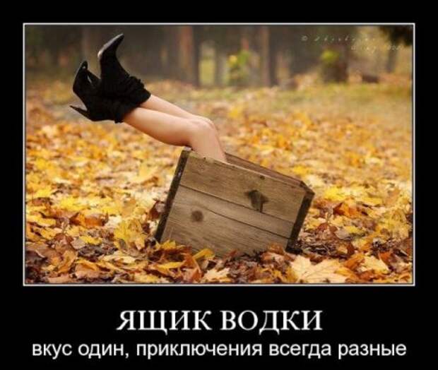 Демки порция.
