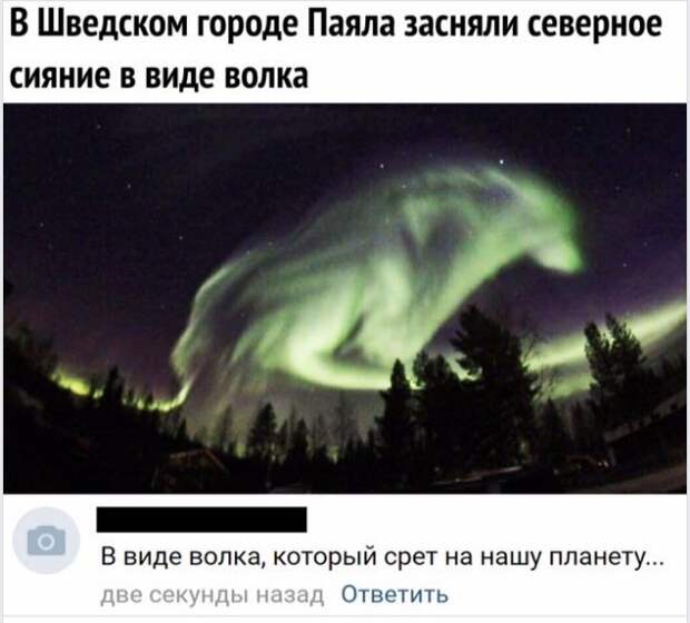 Волна позитива в остроумных комментариях из социальных сетей Волна позитива в остроумных комментариях из социальных сетей