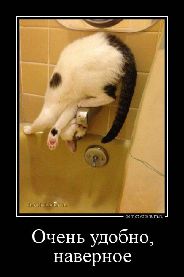 Новый сборник демотиваторов (28 шт)