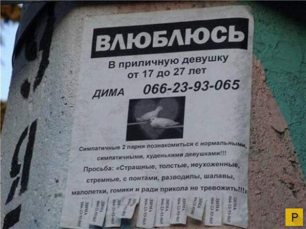 Смешные объявления о знакомстве (18 фото)