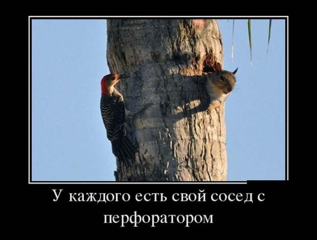 Демотиваторы (30 фото) Демотиваторы (30 фото)