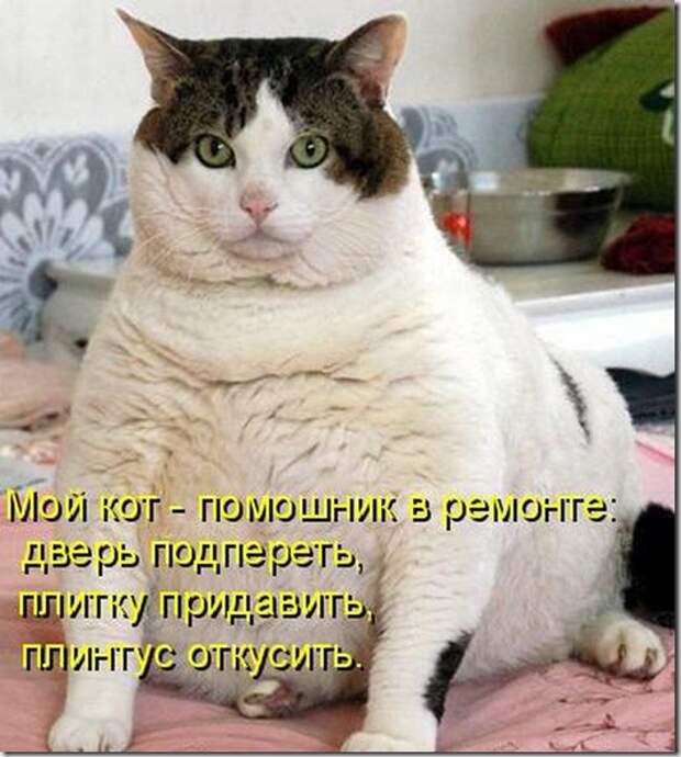 kotomatrix_0981