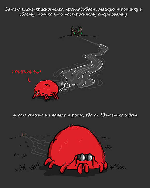 Как даме сперму подарить с любовью!