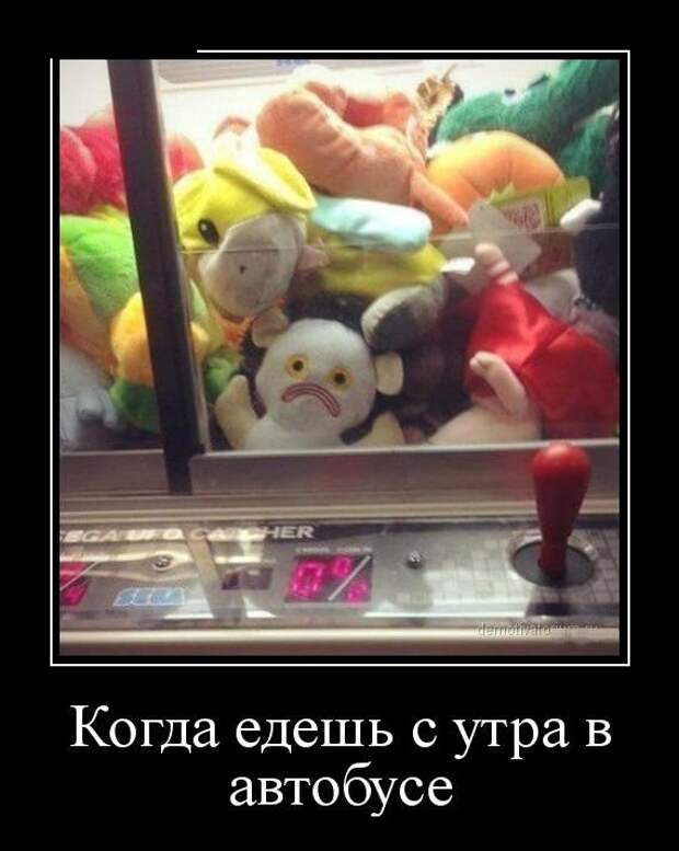 Демотиваторы