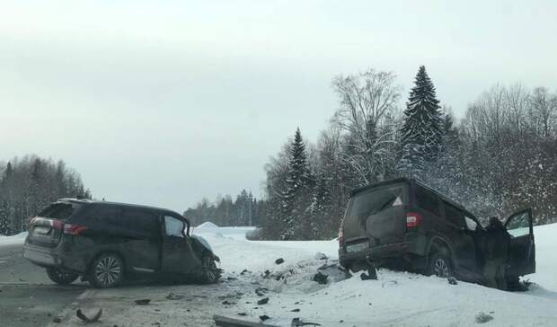 В ГИБДД рассказали, кто разбился в лобовом ДТП на трассе в Карелии