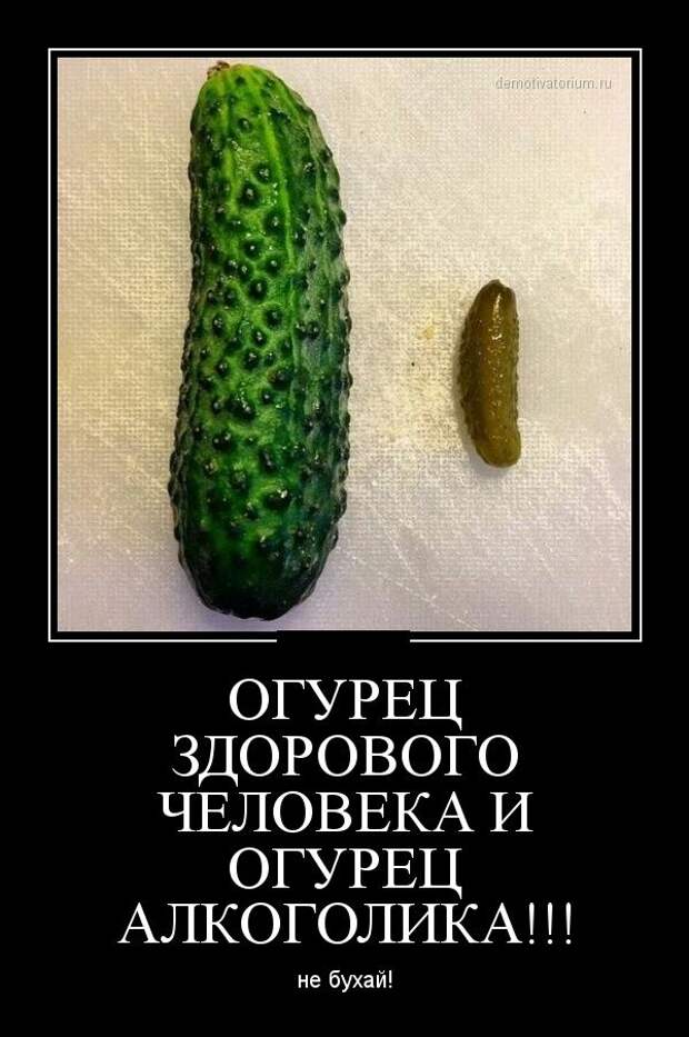 Демотиваторы  демотиваторы, прикол, смех, юмор