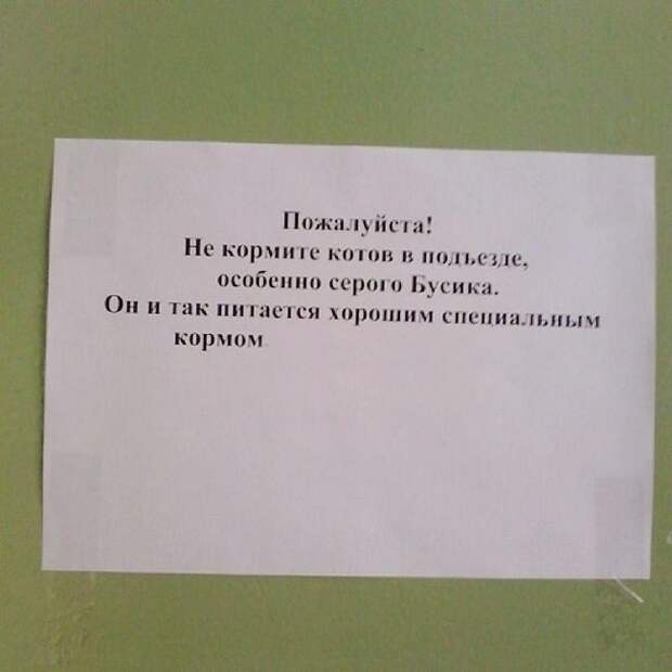 Забавные объявления в наших подъездах (28 фото)