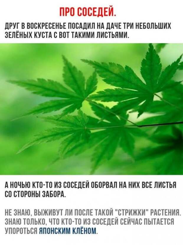 Прикольные картинки против понедельника! (40 шт)