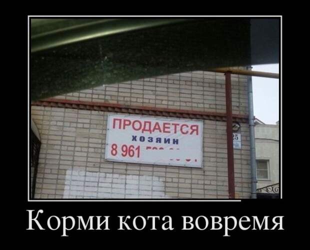 Демотиваторы (30 фото)