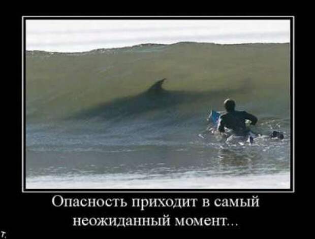 Что такое демотиватор? Ответы на сайте!