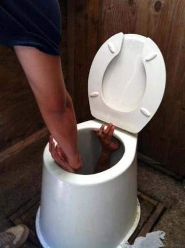 То, чего многие боятся  змеи, насекомые, фобии