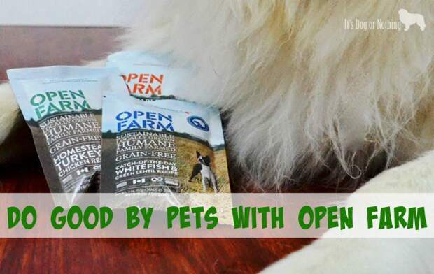 Do good by pets by feeding Open Farm's humane, healthy dog food.