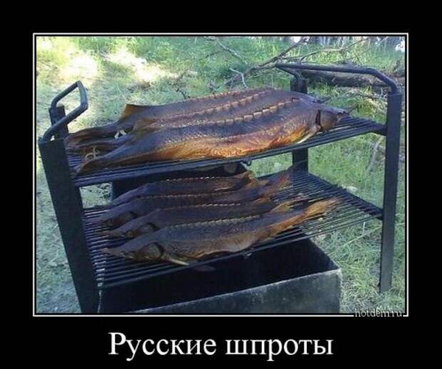 Демотиваторы-новинки для всех (12 шт)