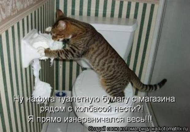 Котоматрица, прикольные коты с надписями.