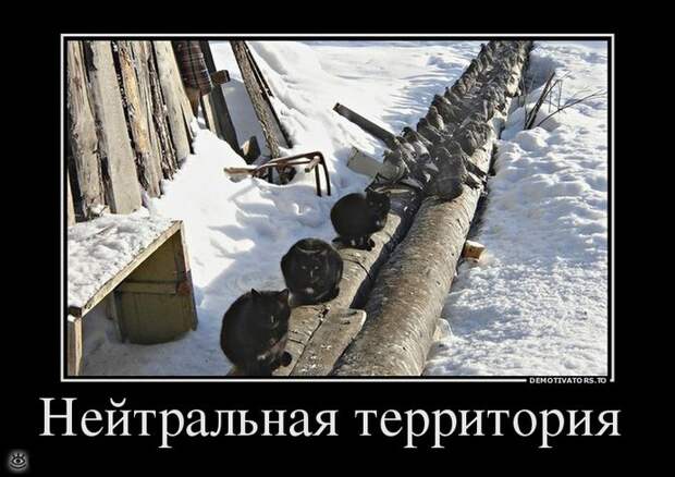 Шёл третий день масленицы... 10