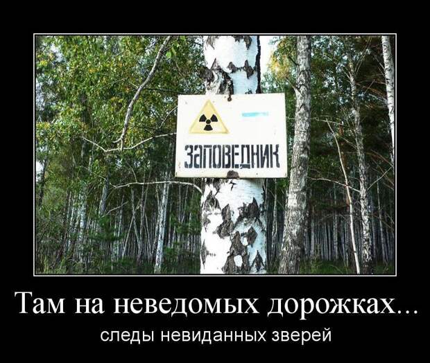 Прикольные демотиваторы Прикольные демотиваторы