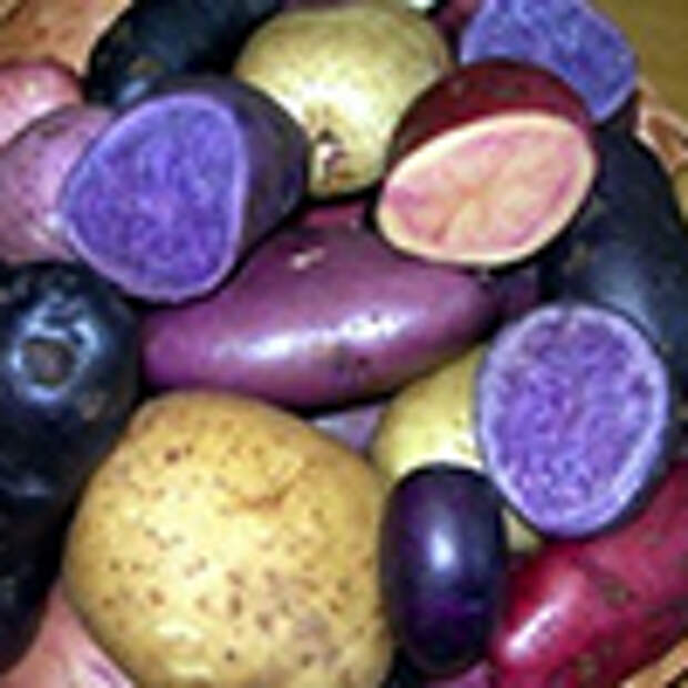 Непривычная диета