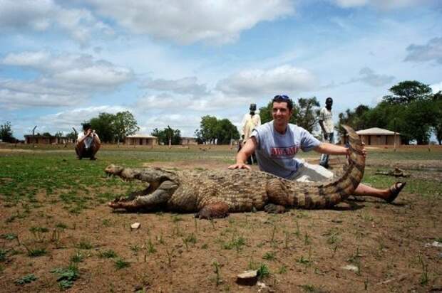 Миролюбивые крокодилы Паги (7 фото)