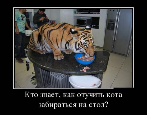Демотиваторы (30 фото)