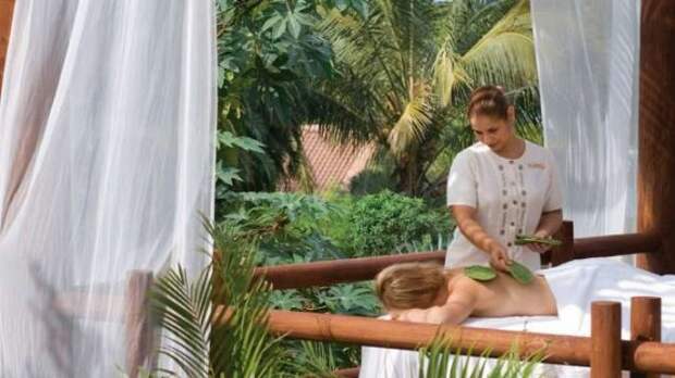 cactus-massage-570x320