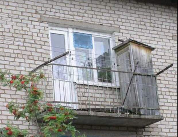 В удобствах на улице есть своя романтика В удобствах на улице есть своя романтика девушки, животные, прикол, юмор
