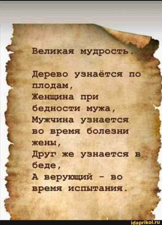 Великая мудрость Дерево узнаётся по плодам, Женщина при бедности мужа, Мужчина узнается во время болезни жены, Друг же узнается "беде, верующий - во время испытания.